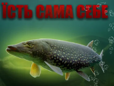 Усе про щуку: звички, місця проживання та секрети лову