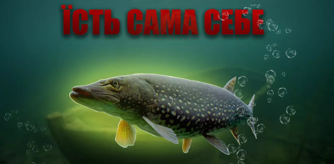 Усе про щуку: звички, місця проживання та секрети лову